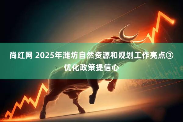 尚红网 2025年潍坊自然资源和规划工作亮点③优化政策提信心