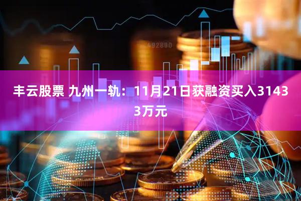 丰云股票 九州一轨：11月21日获融资买入31433万元