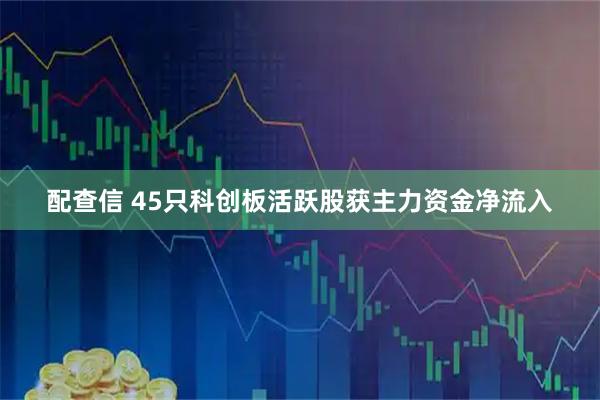 配查信 45只科创板活跃股获主力资金净流入