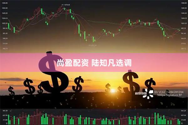 尚盈配资 陆知凡选调